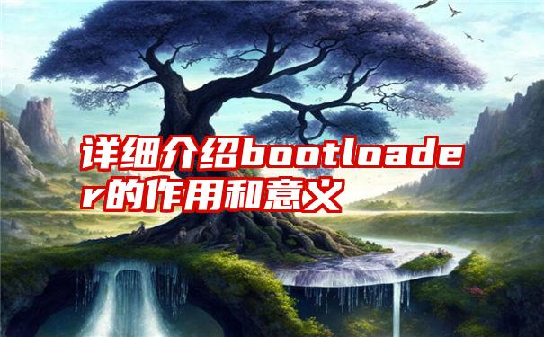 详细介绍bootloader的作用和意义