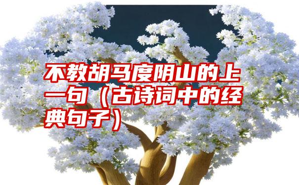 不教胡马度阴山的上一句（古诗词中的经典句子）