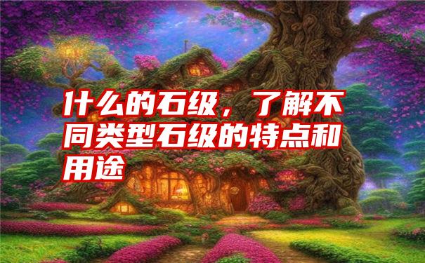 什么的石级，了解不同类型石级的特点和用途