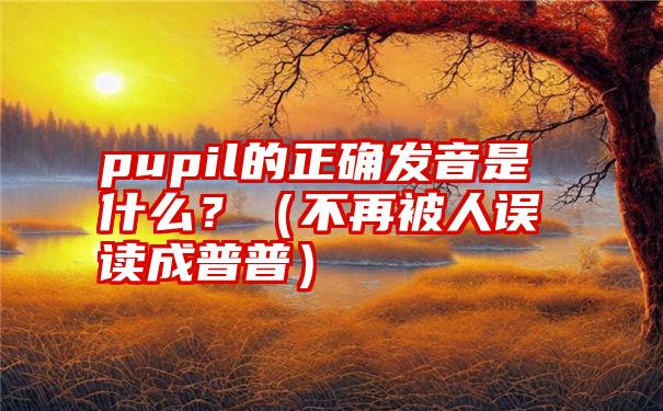 pupil的正确发音是什么？（不再被人误读成普普）