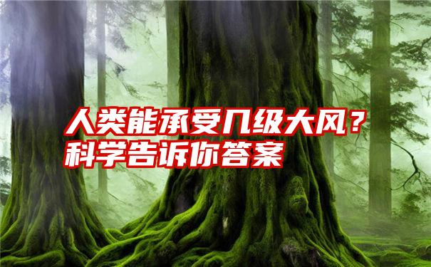 人类能承受几级大风？科学告诉你答案