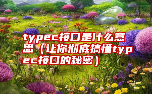 typec接口是什么意思（让你彻底搞懂typec接口的秘密）