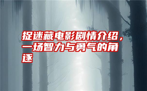 捉迷藏电影剧情介绍，一场智力与勇气的角逐