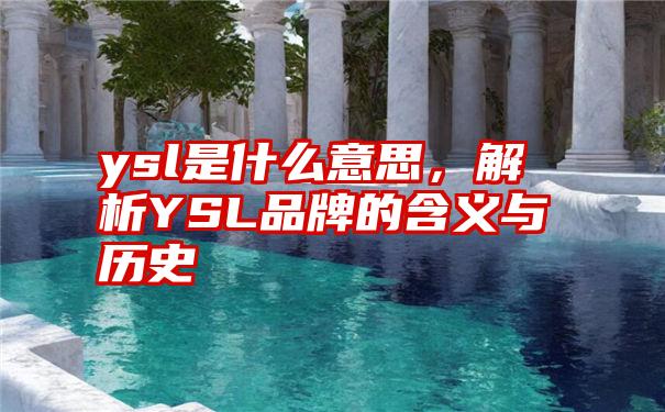 ysl是什么意思，解析YSL品牌的含义与历史