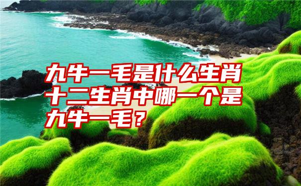 九牛一毛是什么生肖十二生肖中哪一个是九牛一毛？