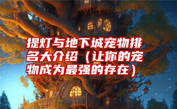 提灯与地下城宠物排名大介绍（让你的宠物成为最强的存在）