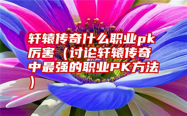 轩辕传奇什么职业pk厉害（讨论轩辕传奇中最强的职业PK方法）