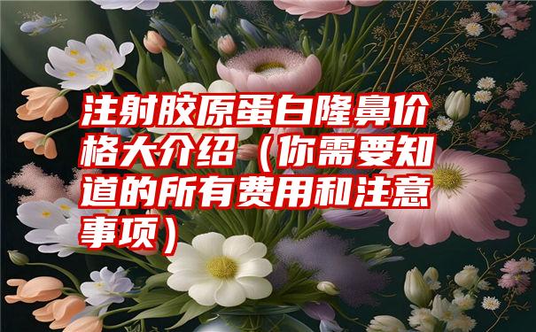 注射胶原蛋白隆鼻价格大介绍（你需要知道的所有费用和注意事项）