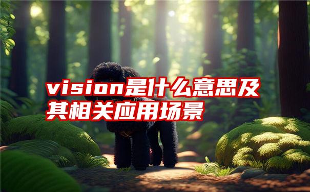 vision是什么意思及其相关应用场景