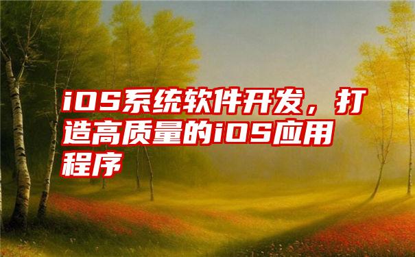 iOS系统软件开发，打造高质量的iOS应用程序