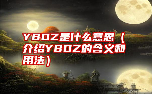 YBDZ是什么意思（介绍YBDZ的含义和用法）