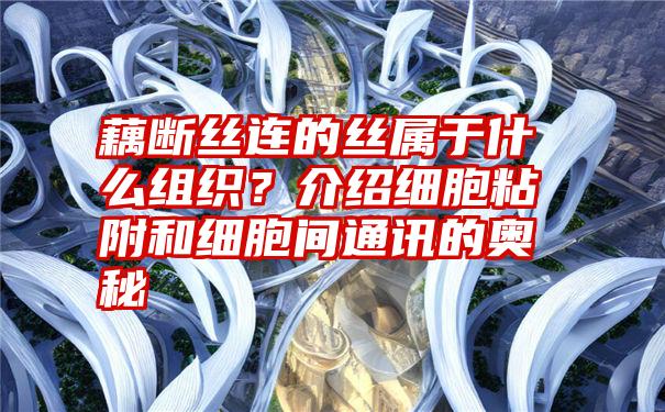 藕断丝连的丝属于什么组织？介绍细胞粘附和细胞间通讯的奥秘