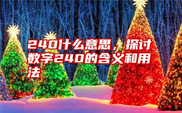 240什么意思，探讨数字240的含义和用法