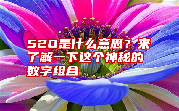 52O是什么意思？来了解一下这个神秘的数字组合