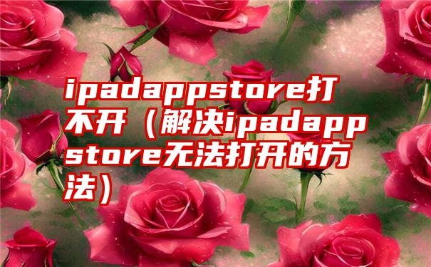 ipadappstore打不开（解决ipadappstore无法打开的方法）