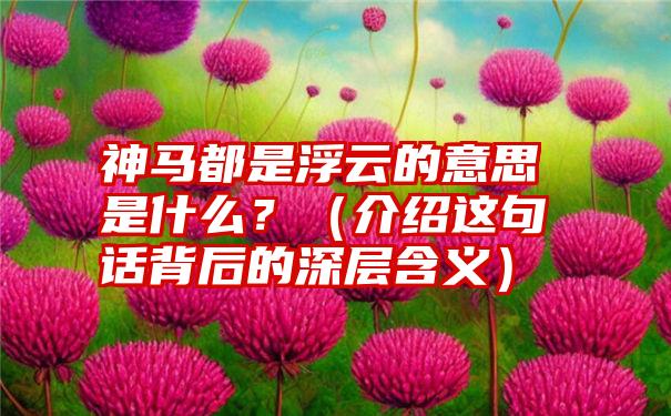 神马都是浮云的意思是什么？（介绍这句话背后的深层含义）