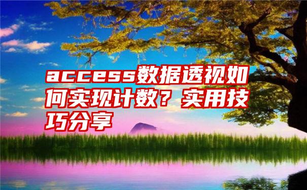 access数据透视如何实现计数？实用技巧分享