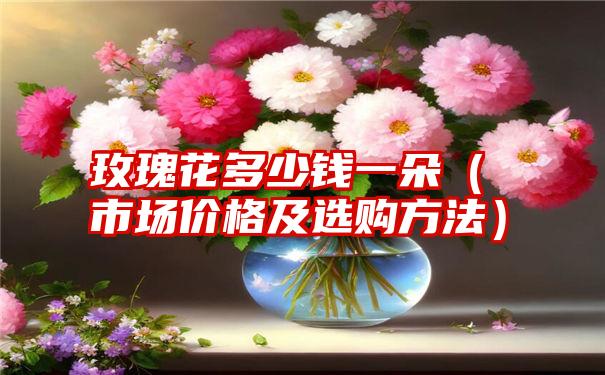 玫瑰花多少钱一朵（市场价格及选购方法）