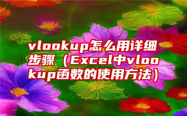 vlookup怎么用详细步骤（Excel中vlookup函数的使用方法）