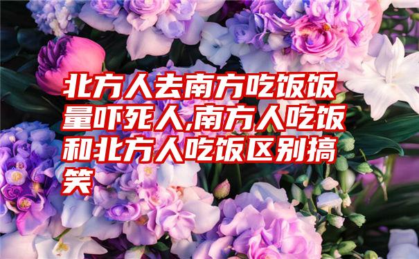 北方人去南方吃饭饭量吓死人,南方人吃饭和北方人吃饭区别搞笑