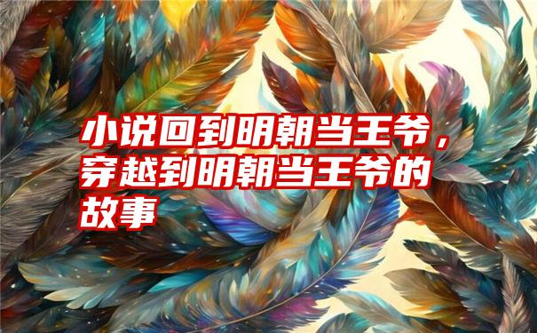 小说回到明朝当王爷，穿越到明朝当王爷的故事