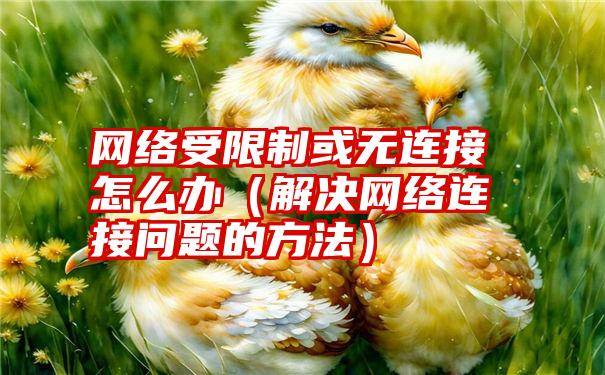 网络受限制或无连接怎么办（解决网络连接问题的方法）