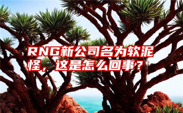 RNG新公司名为软泥怪，这是怎么回事？