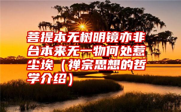 菩提本无树明镜亦非台本来无一物何处惹尘埃（禅宗思想的哲学介绍）