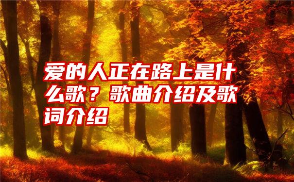 爱的人正在路上是什么歌？歌曲介绍及歌词介绍