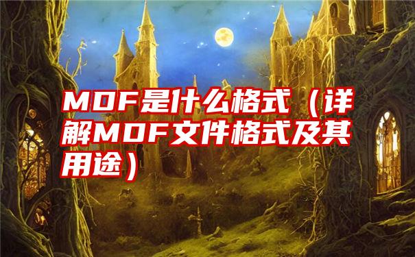 MDF是什么格式（详解MDF文件格式及其用途）