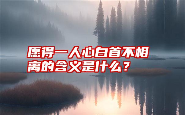 愿得一人心白首不相离的含义是什么？