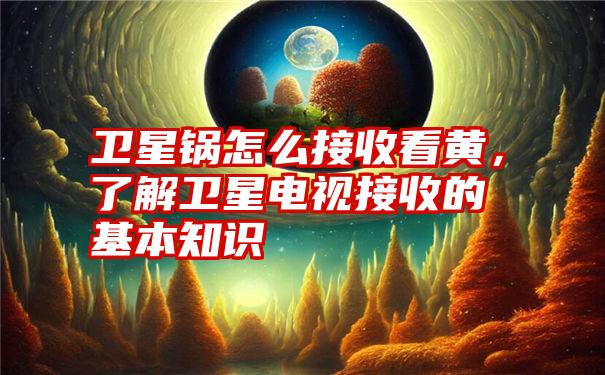 卫星锅怎么接收看黄，了解卫星电视接收的基本知识