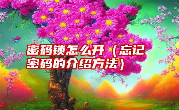 密码锁怎么开（忘记密码的介绍方法）