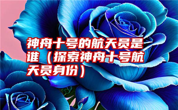 神舟十号的航天员是谁（探索神舟十号航天员身份）