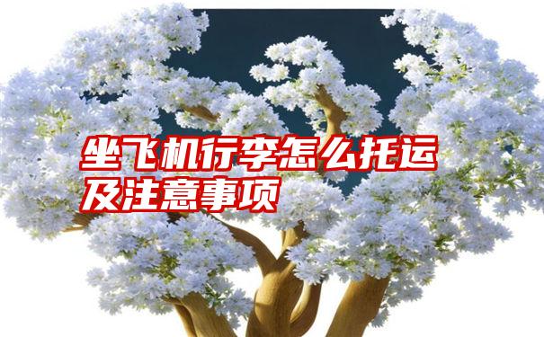 坐飞机行李怎么托运及注意事项