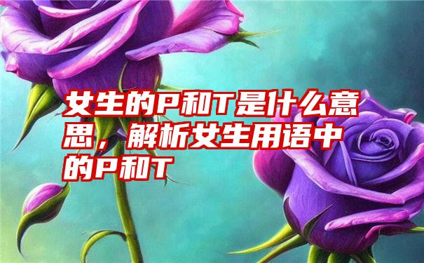 女生的P和T是什么意思，解析女生用语中的P和T