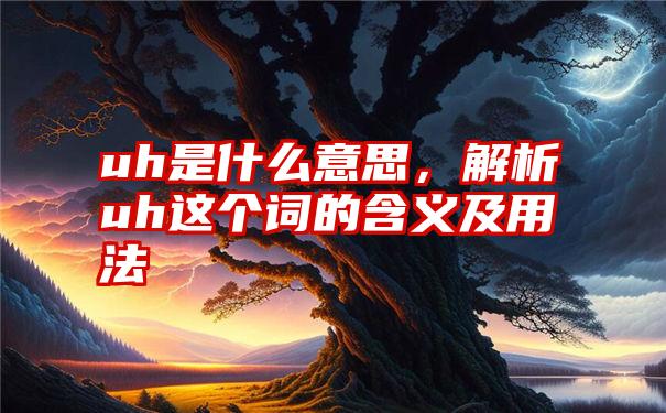 uh是什么意思，解析uh这个词的含义及用法