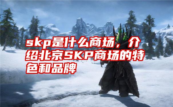 skp是什么商场，介绍北京SKP商场的特色和品牌