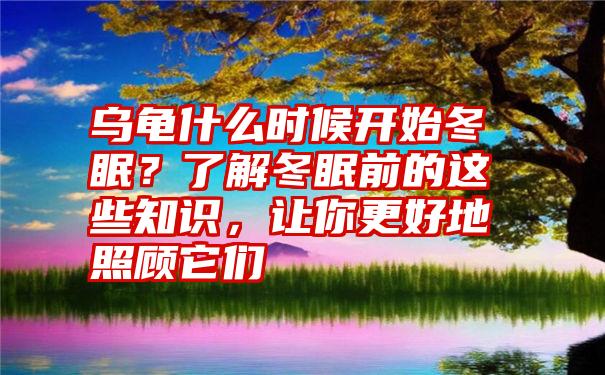 乌龟什么时候开始冬眠？了解冬眠前的这些知识，让你更好地照顾它们