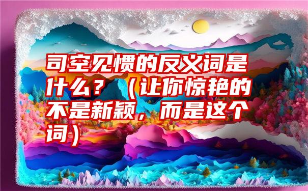 司空见惯的反义词是什么？（让你惊艳的不是新颖，而是这个词）