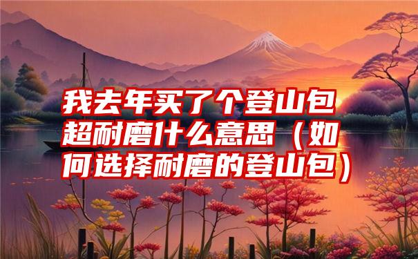 我去年买了个登山包超耐磨什么意思（如何选择耐磨的登山包）