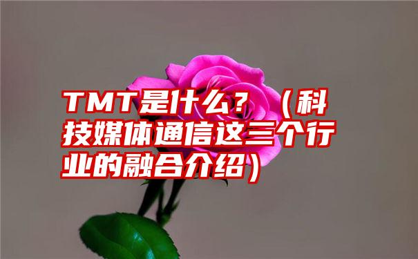 TMT是什么？（科技媒体通信这三个行业的融合介绍）