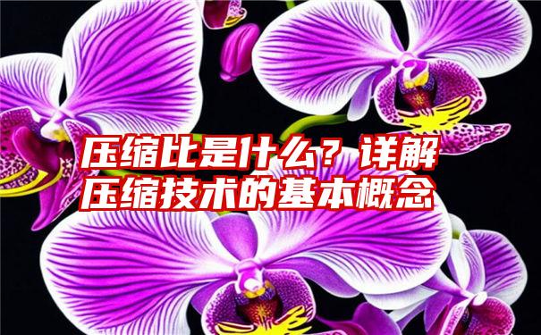 压缩比是什么？详解压缩技术的基本概念