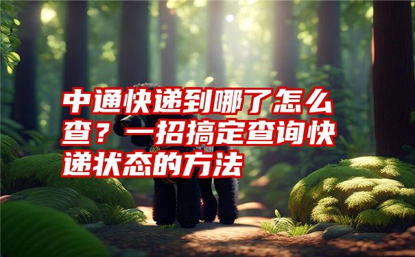 中通快递到哪了怎么查？一招搞定查询快递状态的方法