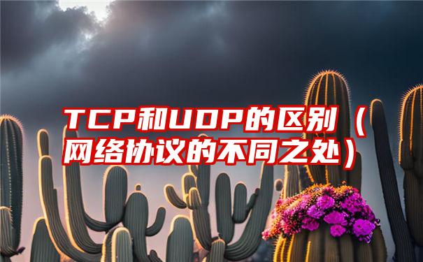 TCP和UDP的区别（网络协议的不同之处）