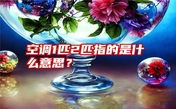 空调1匹2匹指的是什么意思？