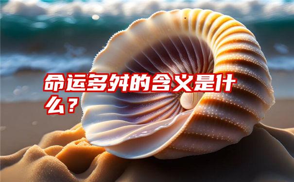 命运多舛的含义是什么？