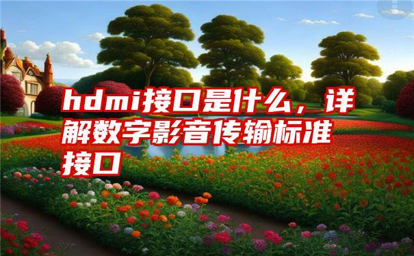 hdmi接口是什么，详解数字影音传输标准接口