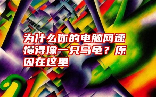 为什么你的电脑网速慢得像一只乌龟？原因在这里