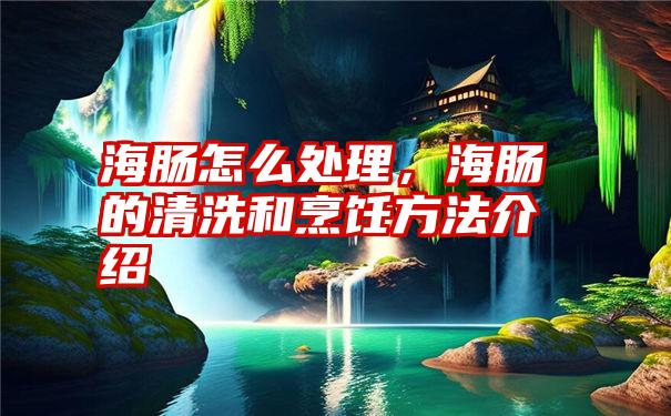 海肠怎么处理，海肠的清洗和烹饪方法介绍